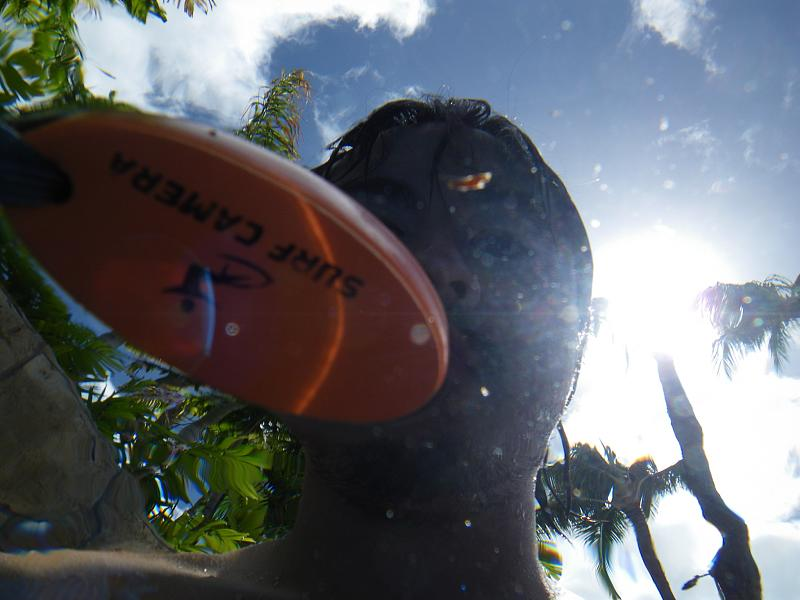 Illustration for article titled Review: Pentax W60 Waterproof Camera Catching Whale Sharks